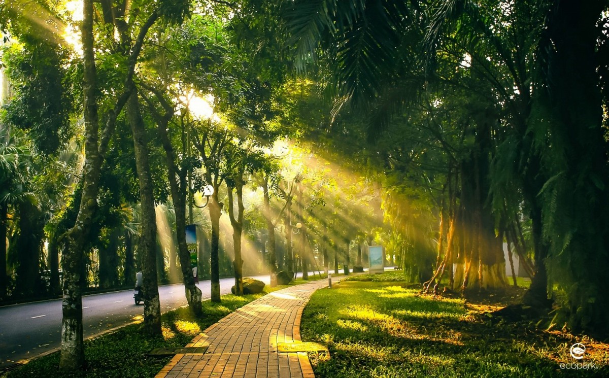 Tiện ích khu đô thị Ecopark Hưng Yên - Công viên cây xanh